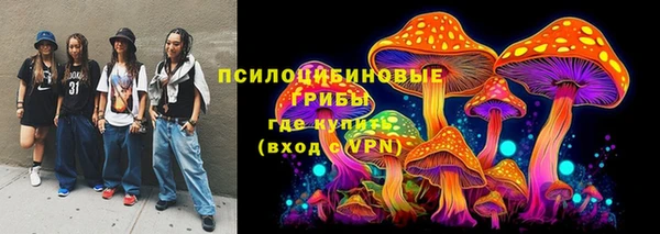 прущая мука Абаза